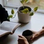 person reading book beside green plant in white ceramic pot