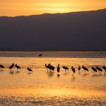 Lac Natron